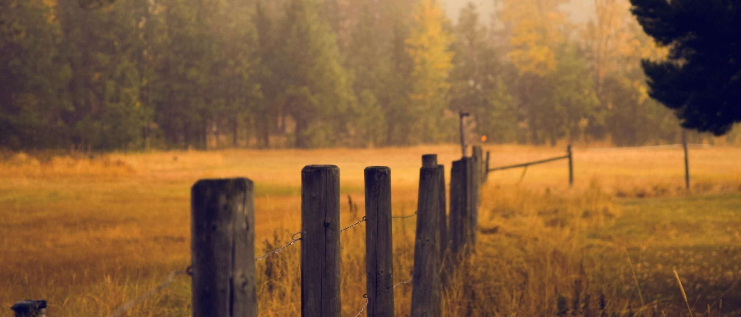 Stunning Website Designs, Background image of autumn scene